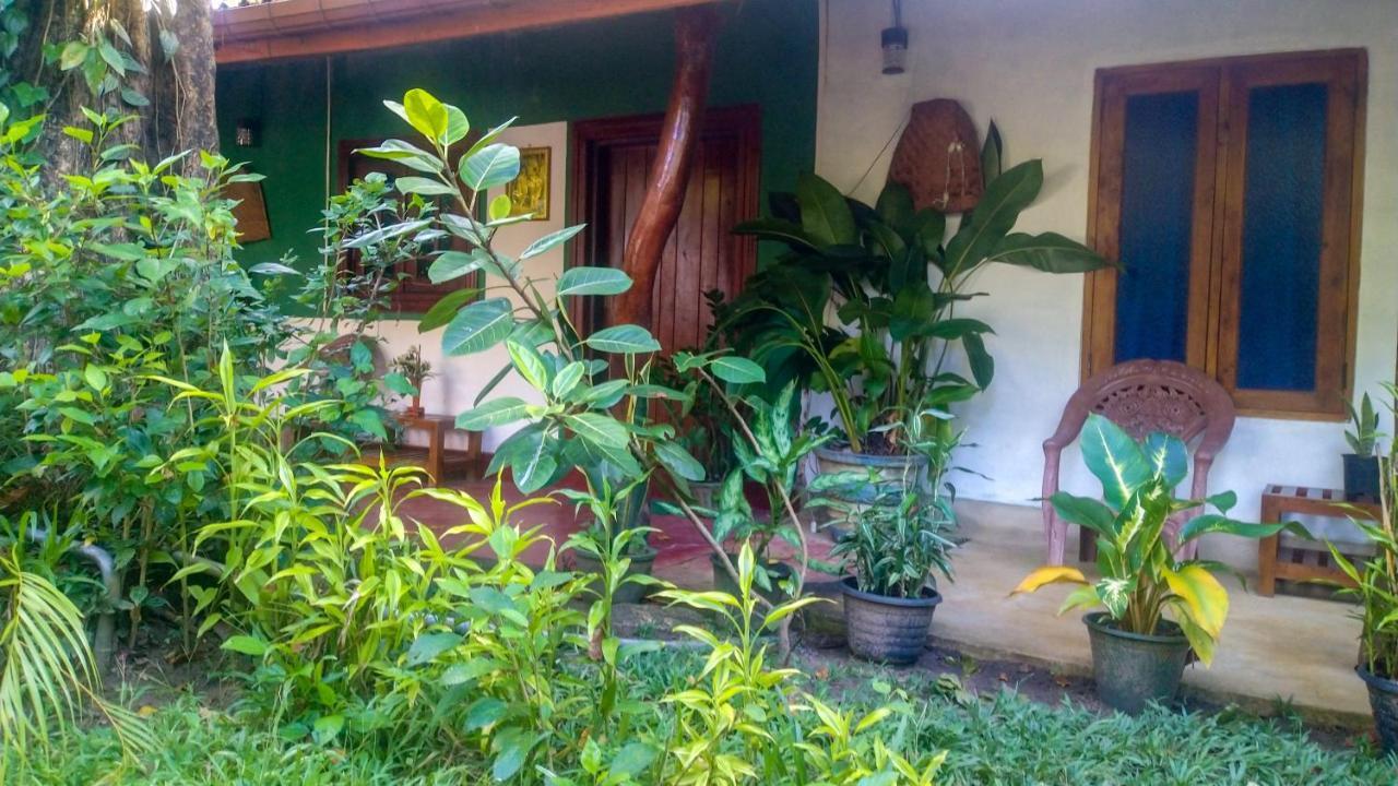 Gangula Eco Lodge Sigiriya Exterior foto