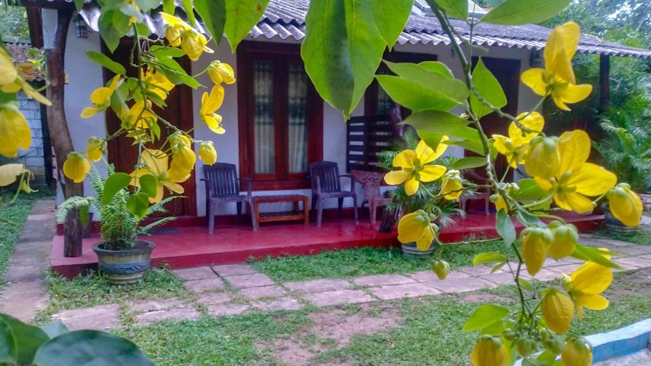 Gangula Eco Lodge Sigiriya Exterior foto