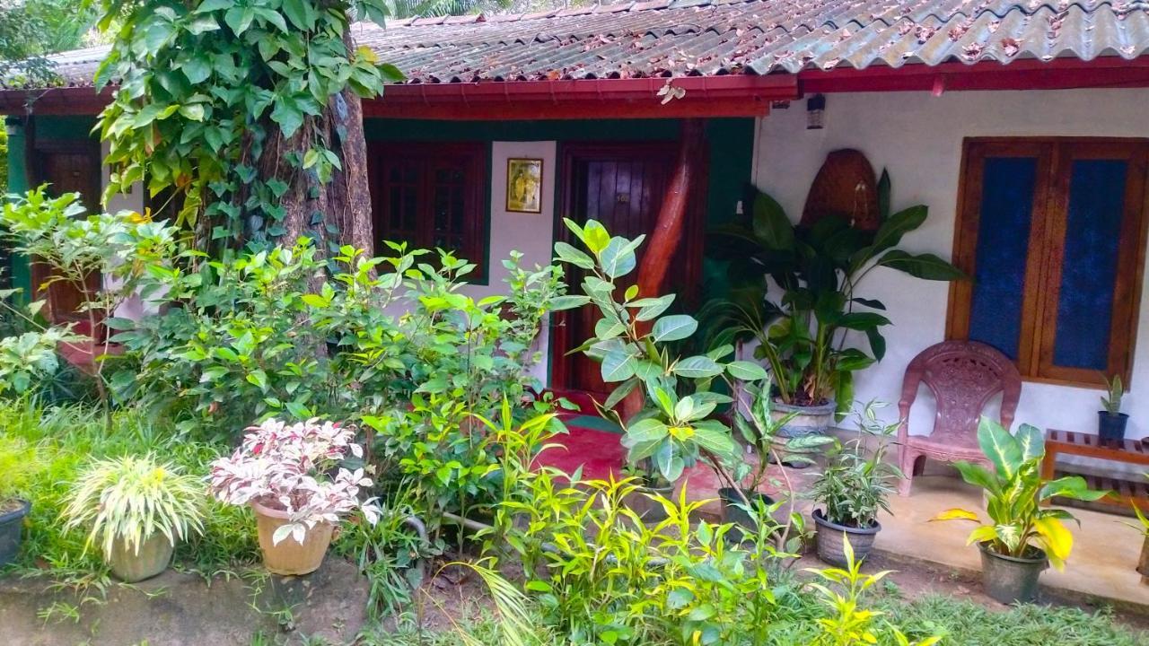 Gangula Eco Lodge Sigiriya Exterior foto