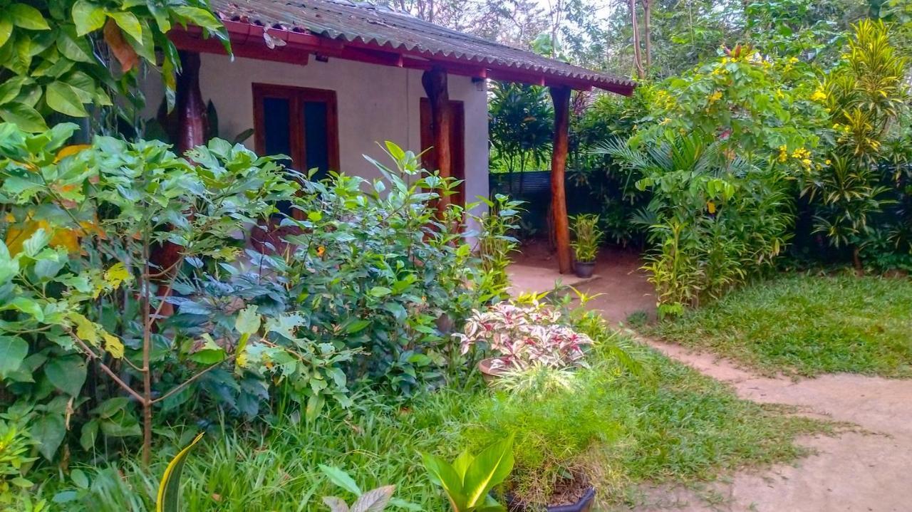 Gangula Eco Lodge Sigiriya Exterior foto